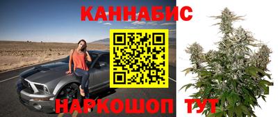 ALPHA PVP Заволжье