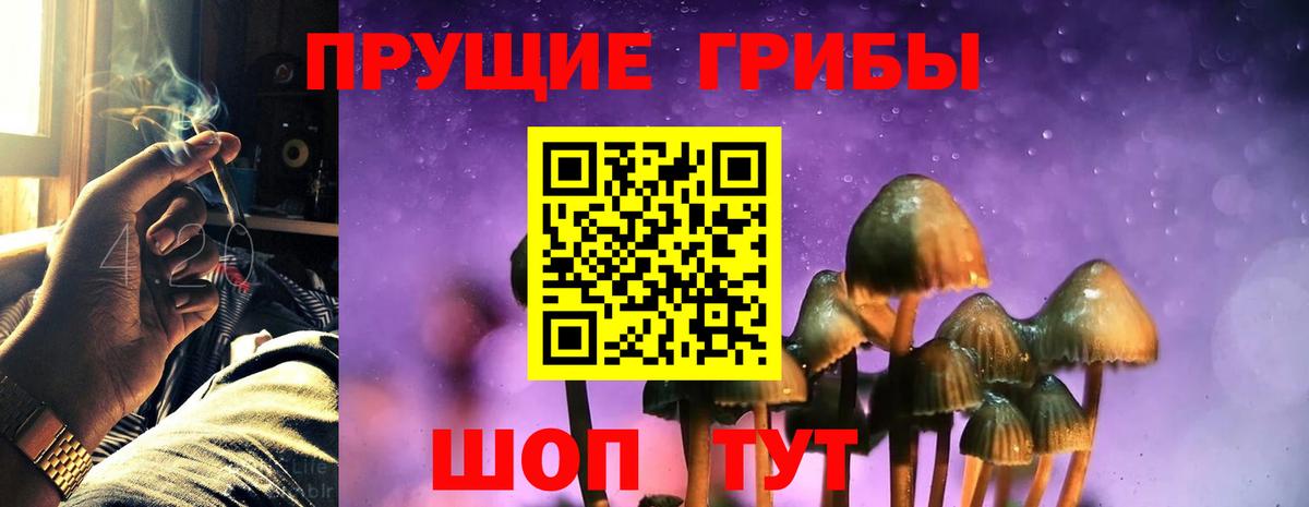 Псилоцибиновые грибы Cubensis  Вход с VPN  Зеленокумск 